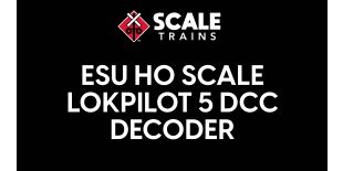 ESU 58429 LokSound V 5.0 Sound Decoder