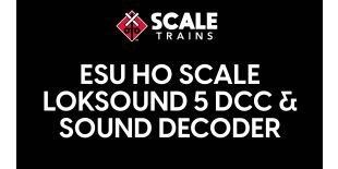 ESU 58429 LokSound V 5.0 Sound Decoder