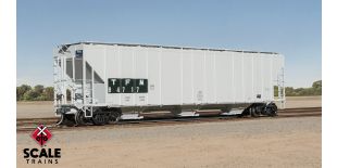 ExactRail Evolution HO Scale Evans 4780 Covered Hopper, TFM/ex-ITLX Patch