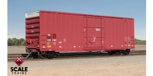 ExactRail Evolution HO Scale Gunderson 6269 High-Cube Boxcar, Tomahawk Railway/TR